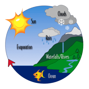 Water Cycle