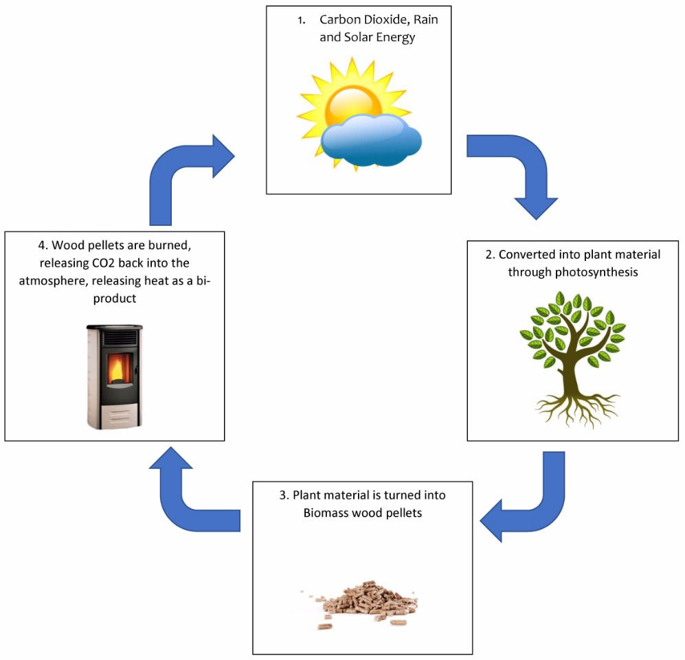 Biomass cycle