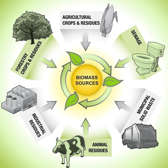 Biomass Types