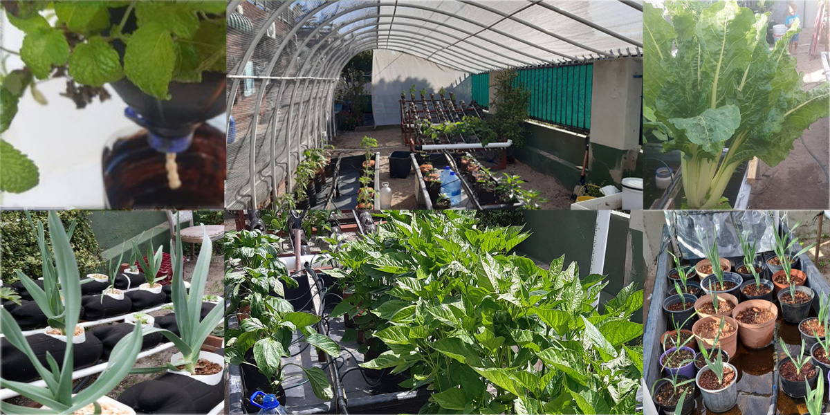 Hydroponics slider